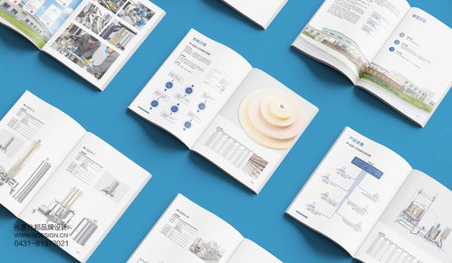 吉林硅寶科技公司企業宣傳冊設計案例解析——北邦設計的技術推廣服務實踐